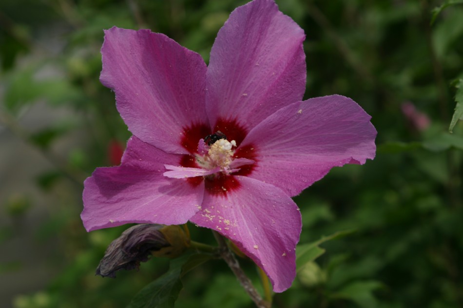 This image has been resized