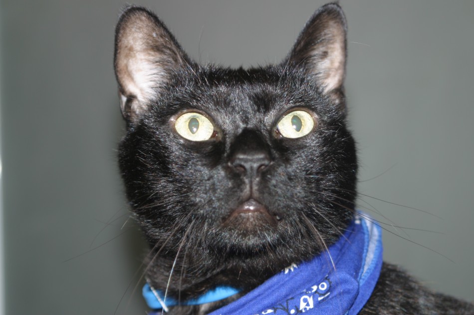 This image has been resized