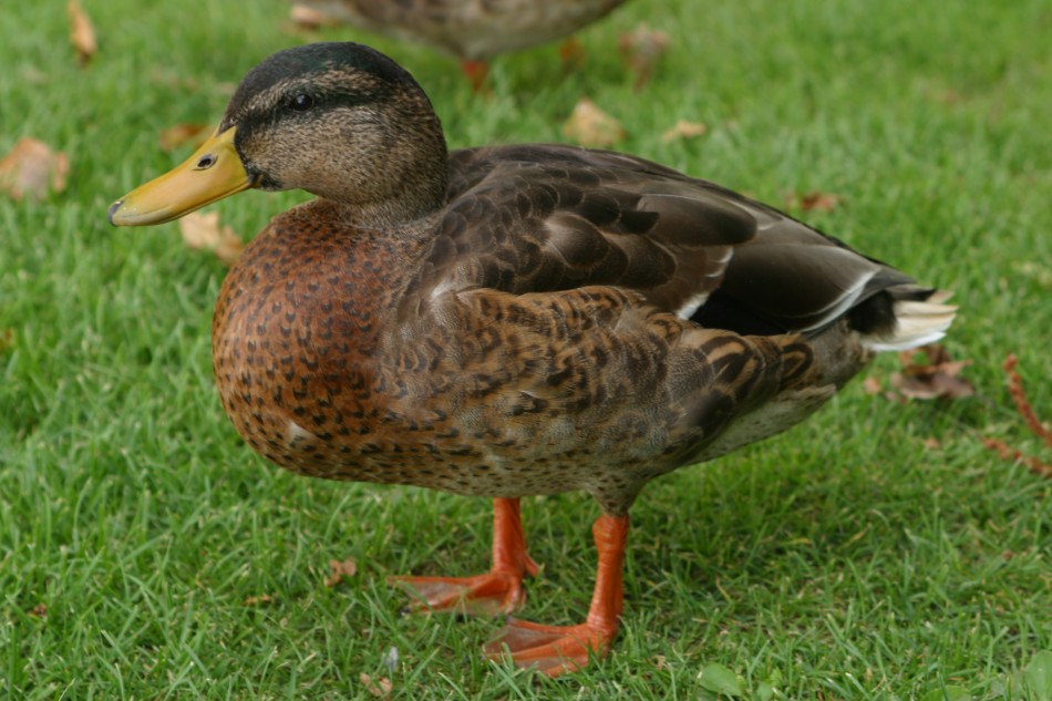 This image has been resized