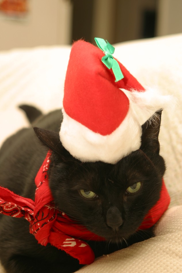 This image has been resized