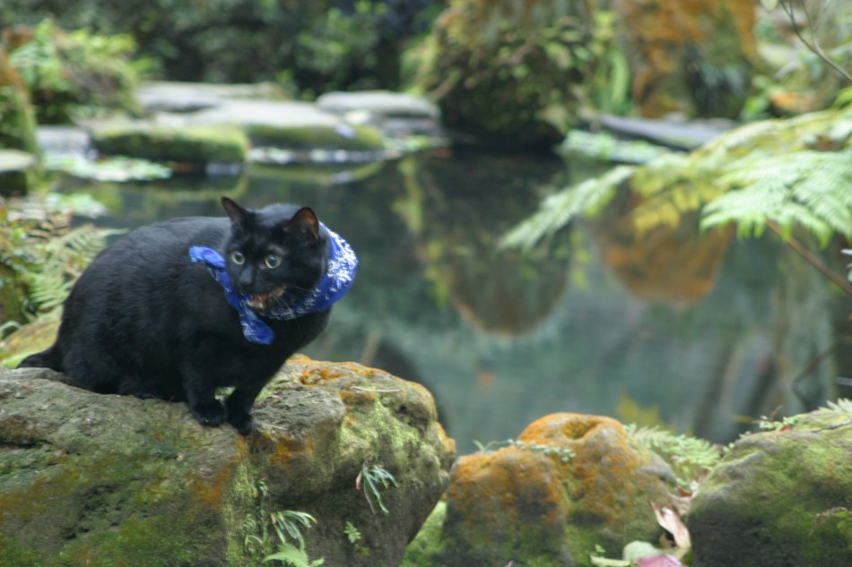 This image has been resized