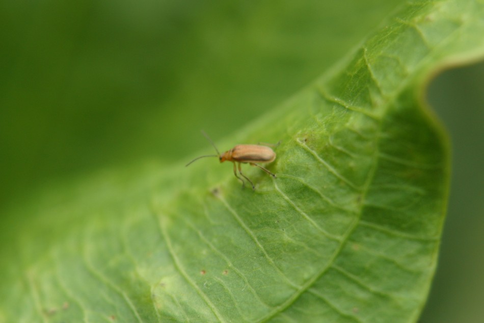 This image has been resized