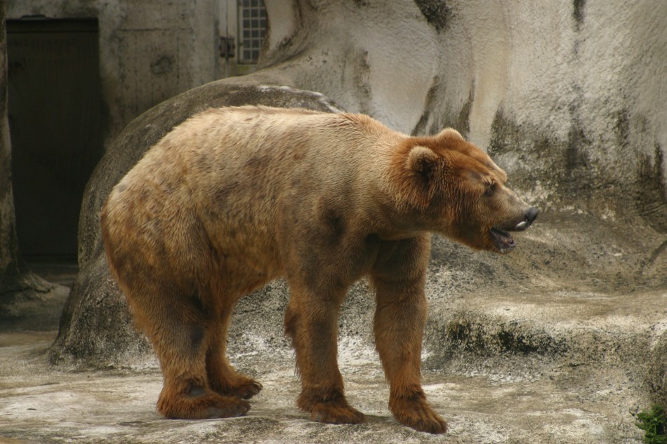 This image has been resized