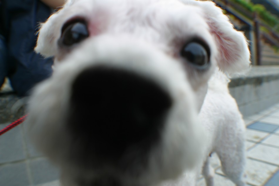 This image has been resized