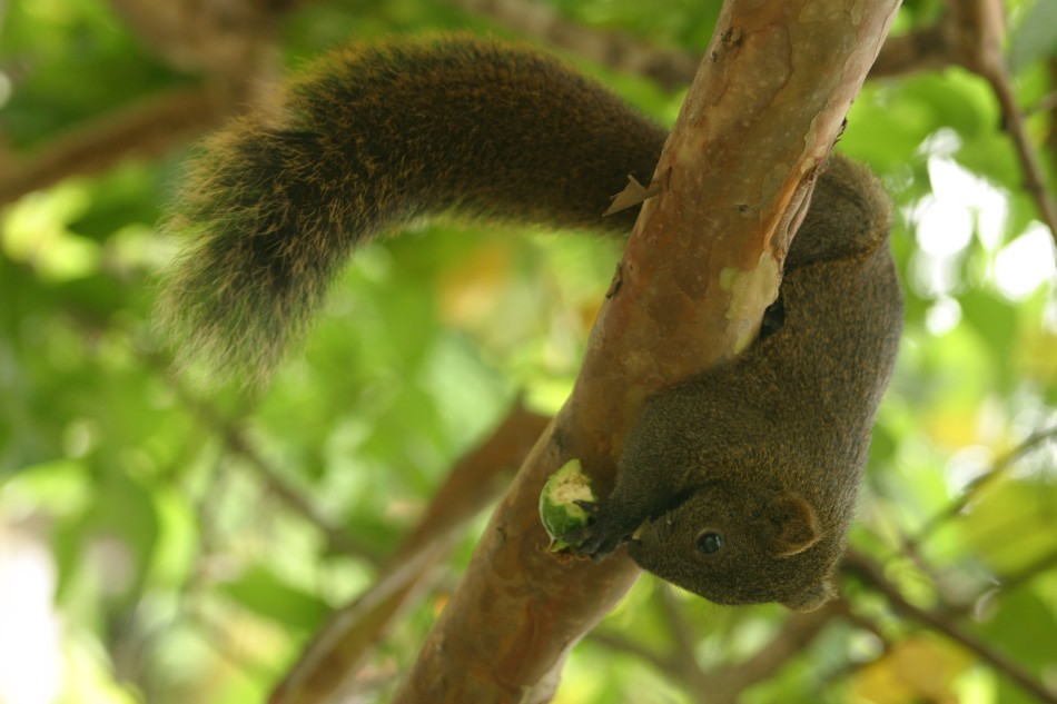 This image has been resized