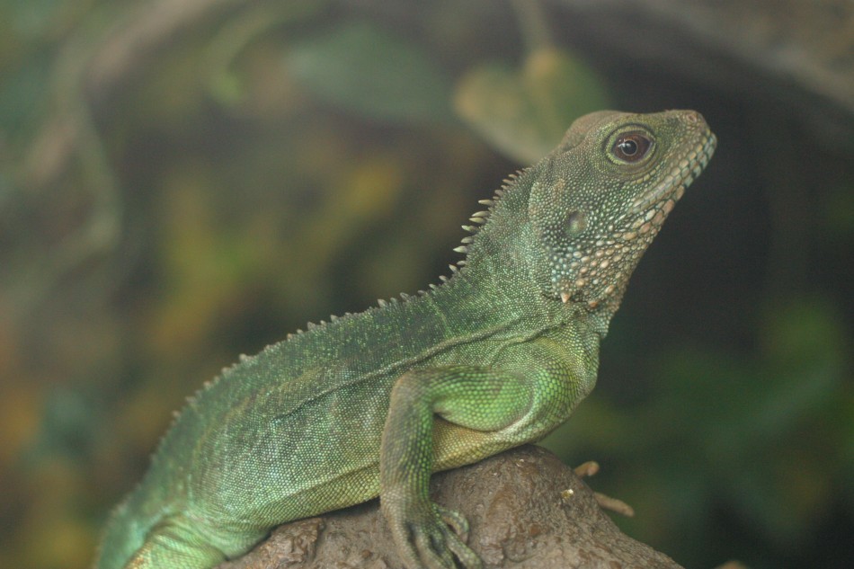 This image has been resized