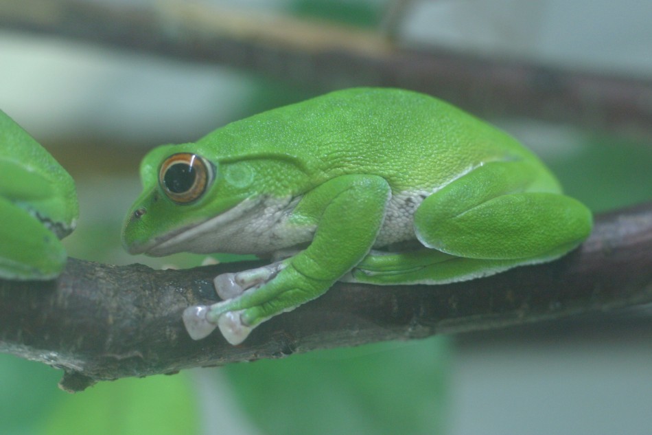 This image has been resized