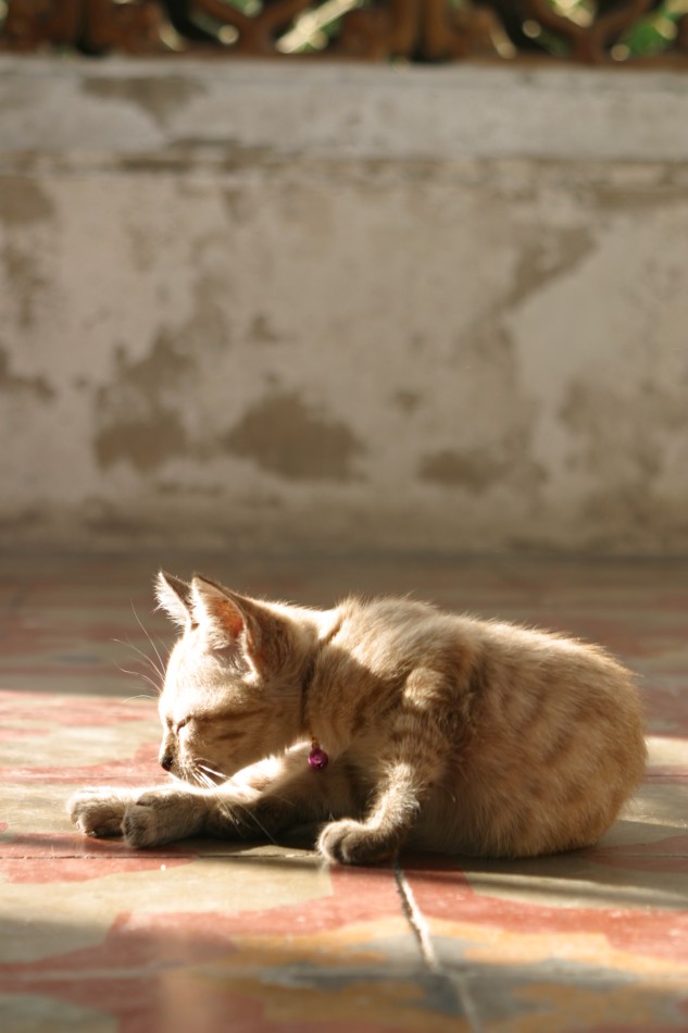 This image has been resized