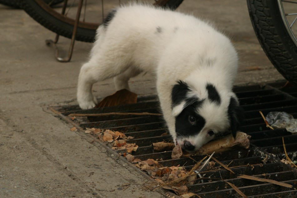 This image has been resized