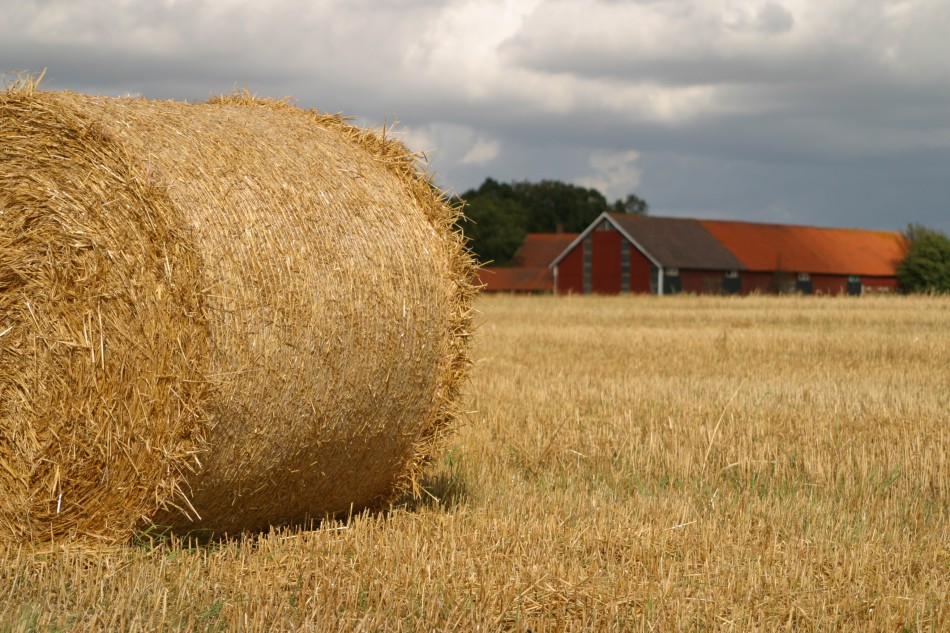 This image has been resized