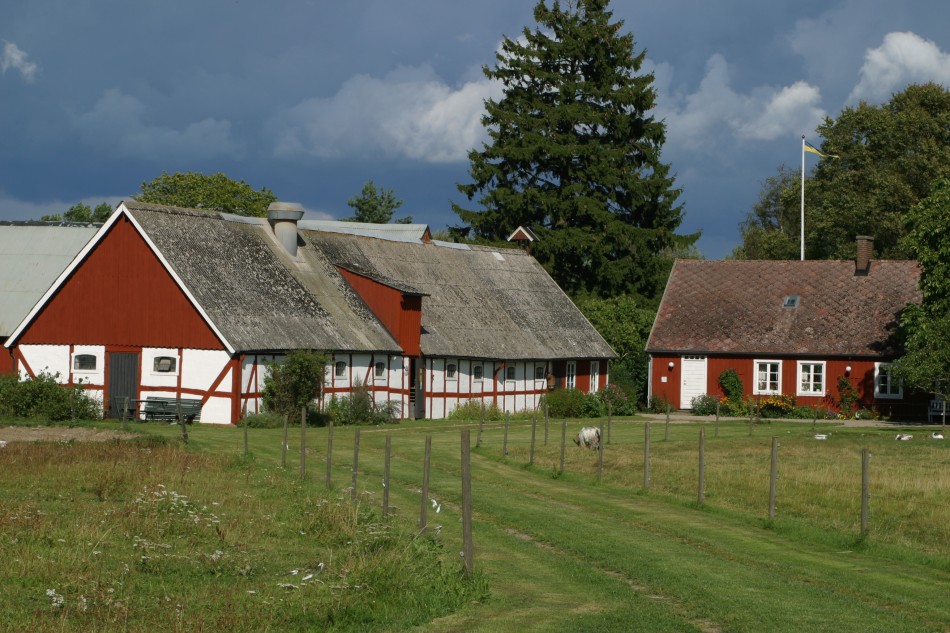 This image has been resized