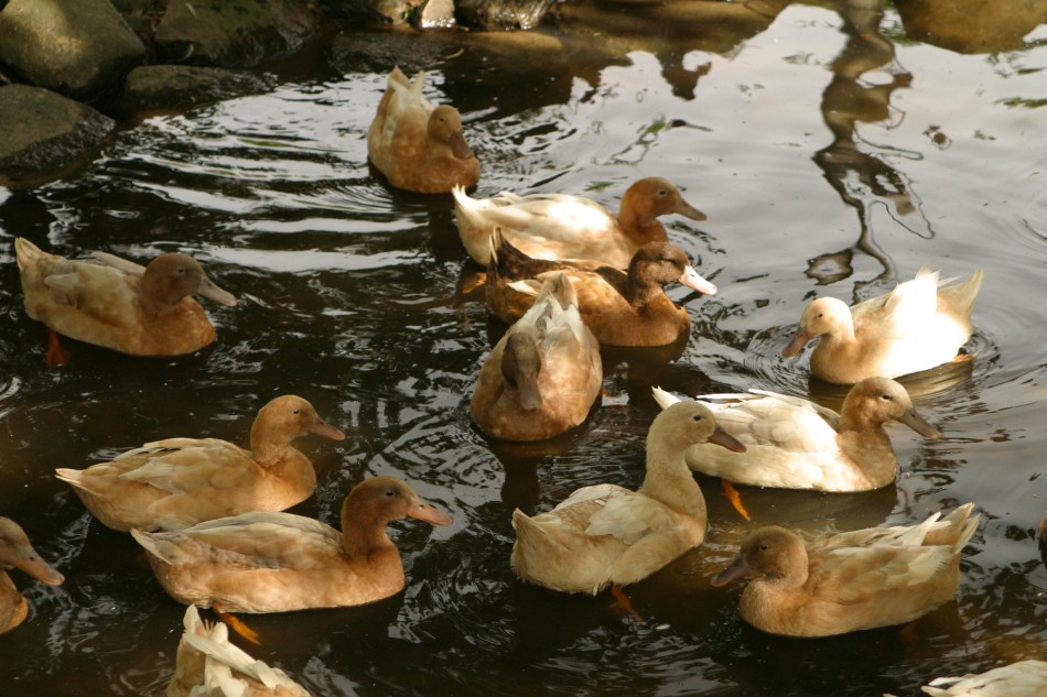 This image has been resized