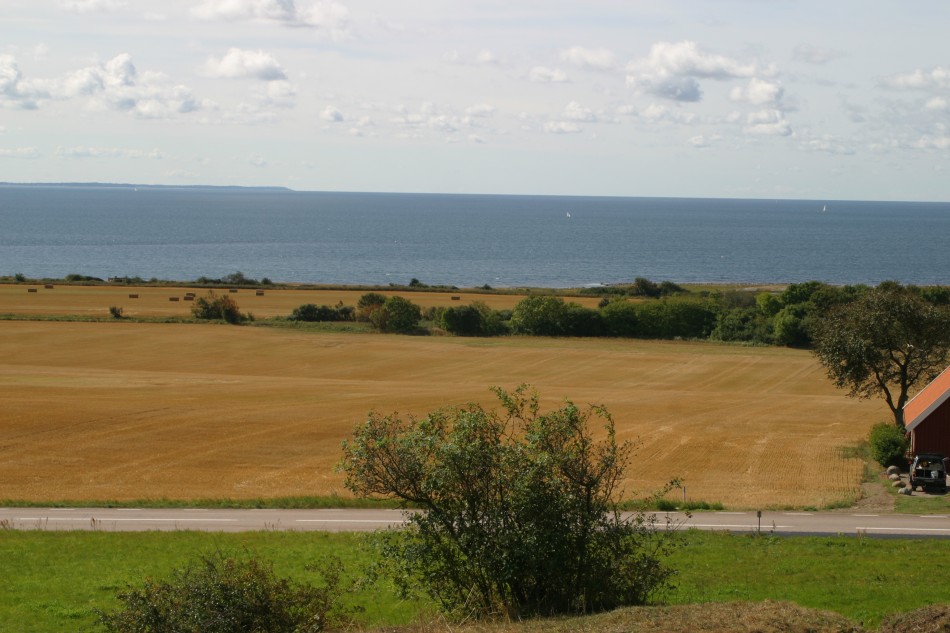 This image has been resized