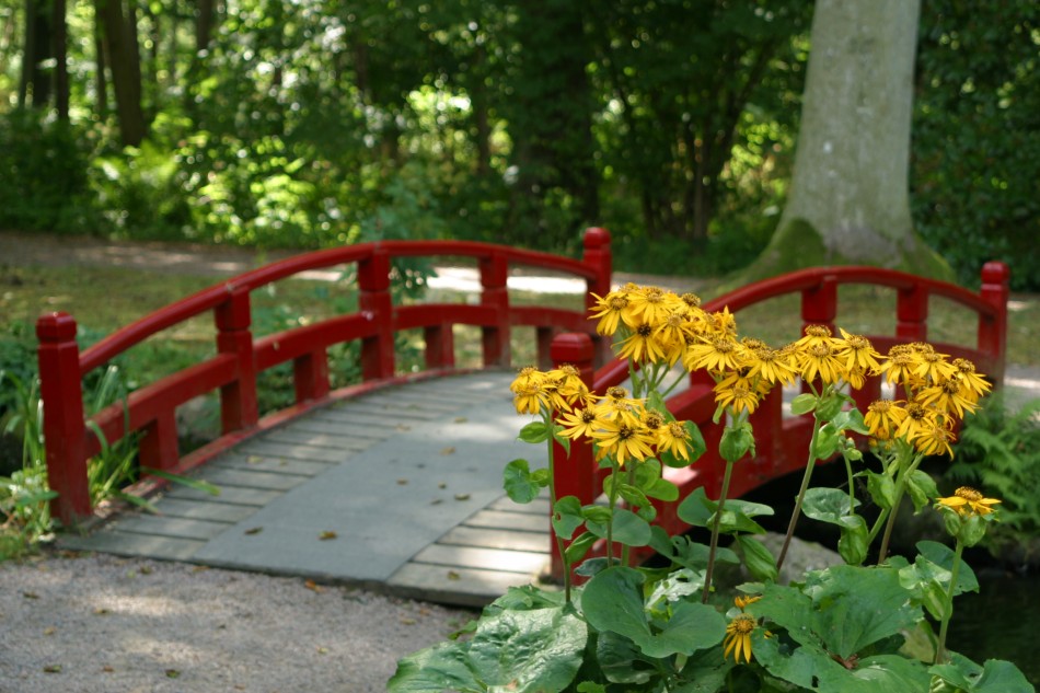 This image has been resized