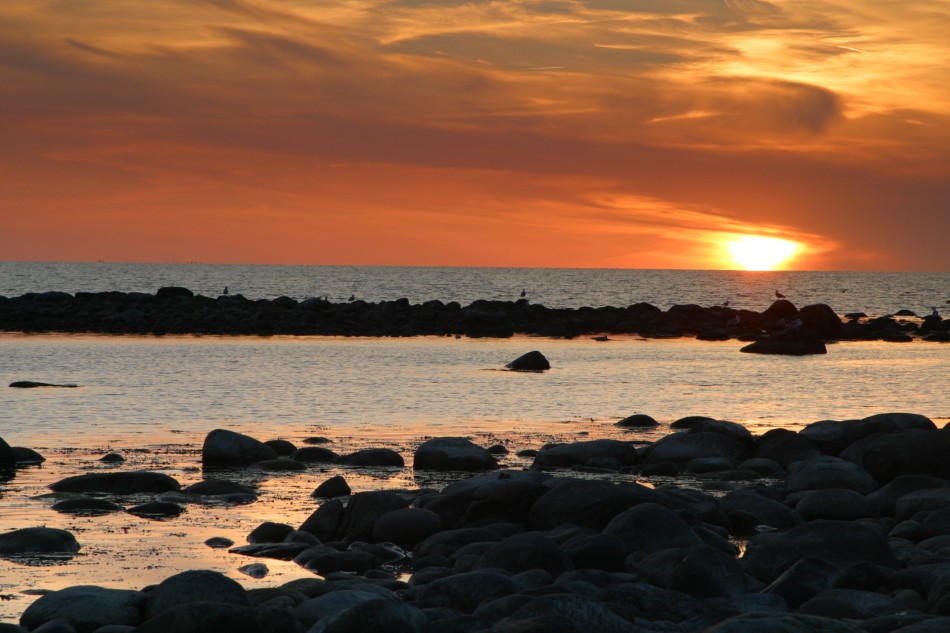 This image has been resized