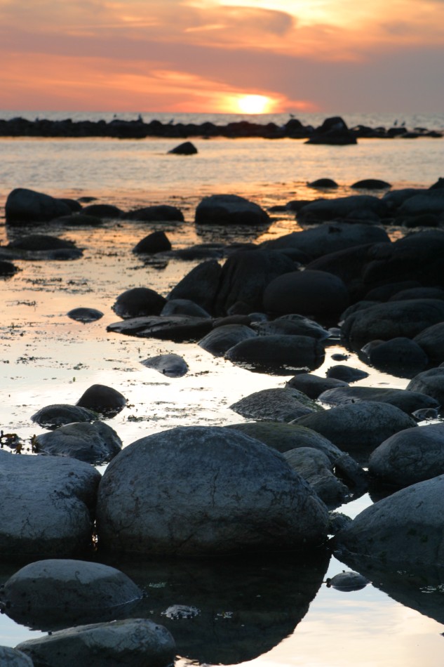 This image has been resized